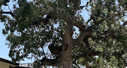 Hartfield House
Farmhouse Retreat on 12 acres