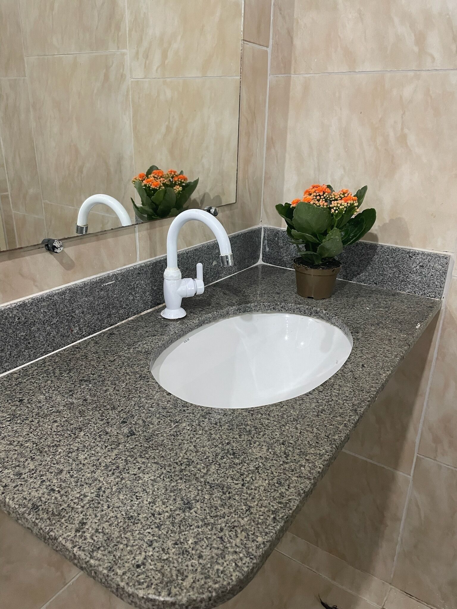 Ein Badezimmer mit Waschtisch aus Granit, einem weißen Wasserhahn und einem kleinen Topf mit orangefarbenen Blüten.