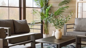 A modern living room with a sofa, armchairs, a coffee table, and potted plants. - Perfect for Family Reunions & Large Groups! 3 Pools - Games - Golf - Firepit! (Branson West)