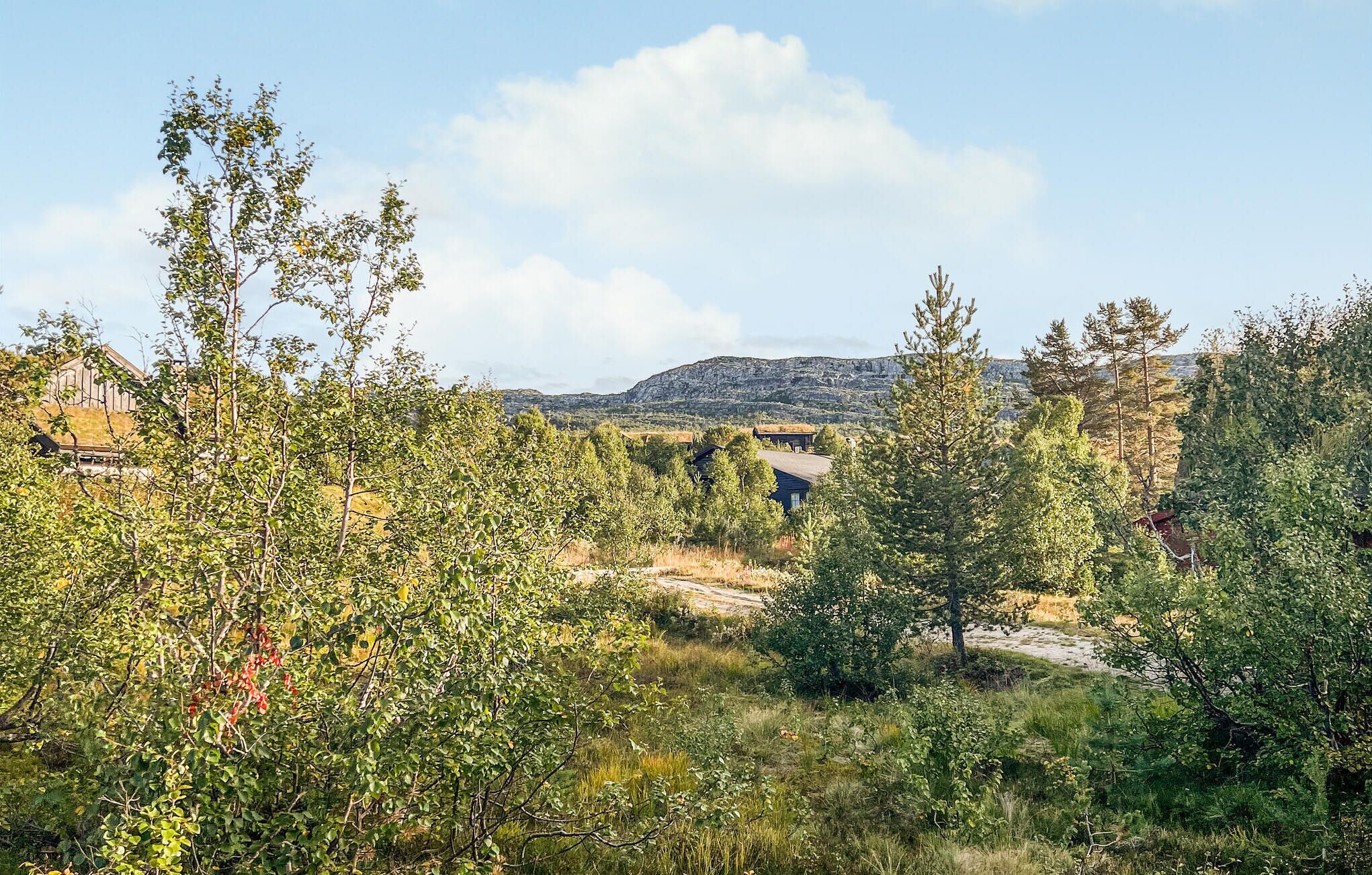 Ländliche Landschaft mit vereinzelten Bäumen und einem fernen Gebirgszug.