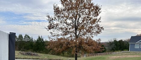 Ulkoporeallas