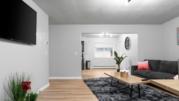 Un salon moderne avec un téléviseur à écran plat, un canapé gris, une table basse en bois et un tapis noir à poils longs.