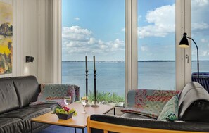 تلفزيون، مدفأة