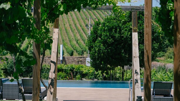 Un espace aménagé au bord de la piscine, avec des pergolas en bois, des chaises longues et une vue sur les rangs de vignes.