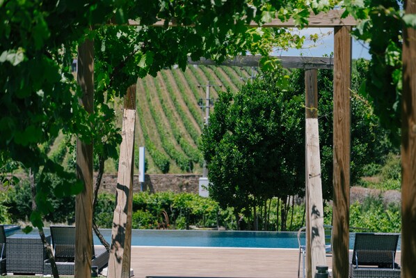 Exterior - Quinta Vale de Sousa - Douro Valley (Peso da Régua)