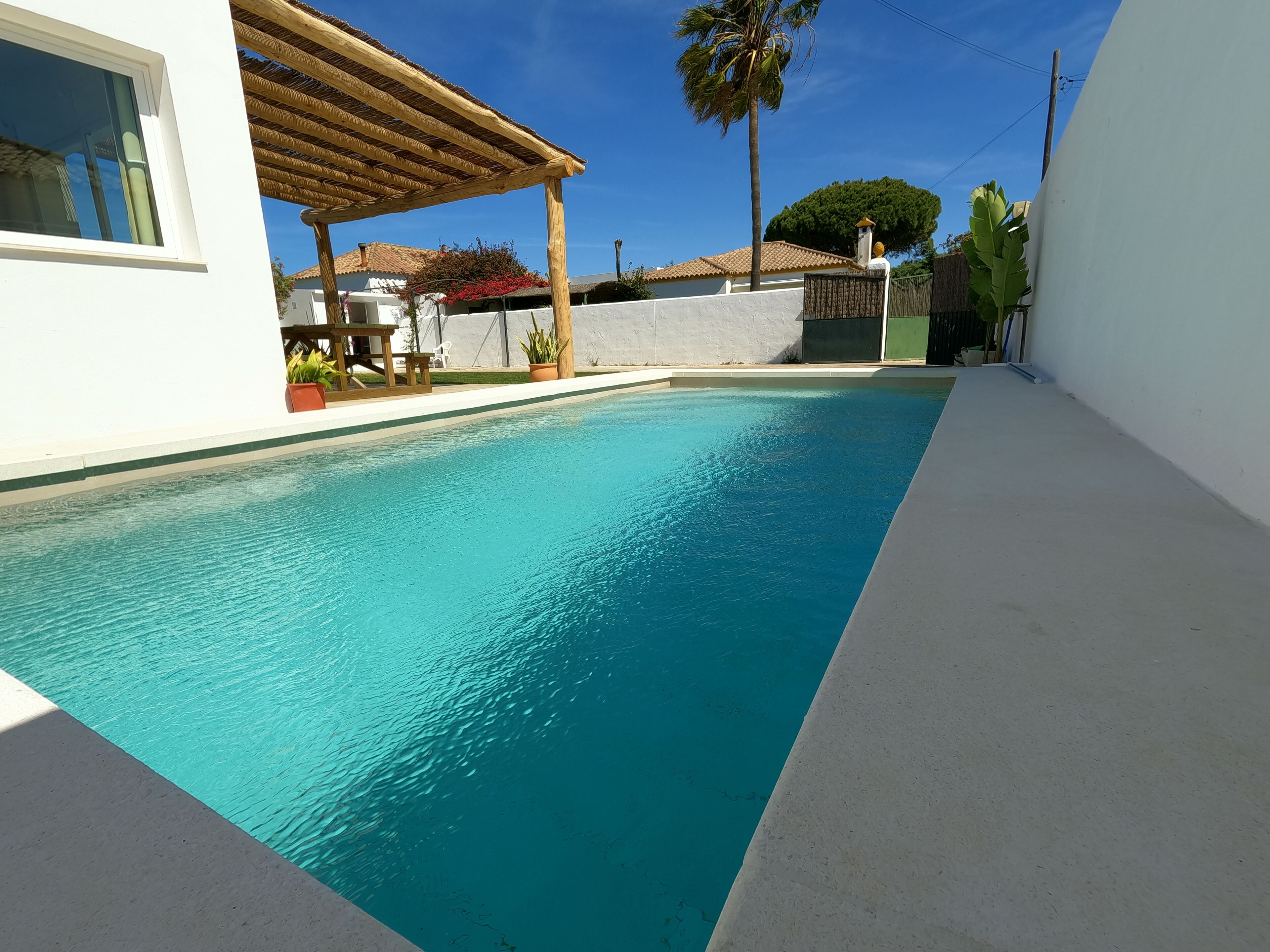 A swimming pool with a pergola, a palm tree, and a white building in the background.