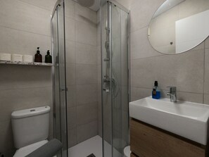 Combined shower/bathtub, hair dryer, towels, soap