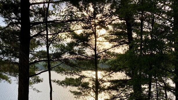 A wooden staircase leading to a dock with a boat, surrounded by trees. - Fall Splendor! Cozy Cabin, Lake Views & Campfires! (Cadillac)