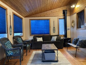 Smart TV, chimenea, reproductor de DVD y libros