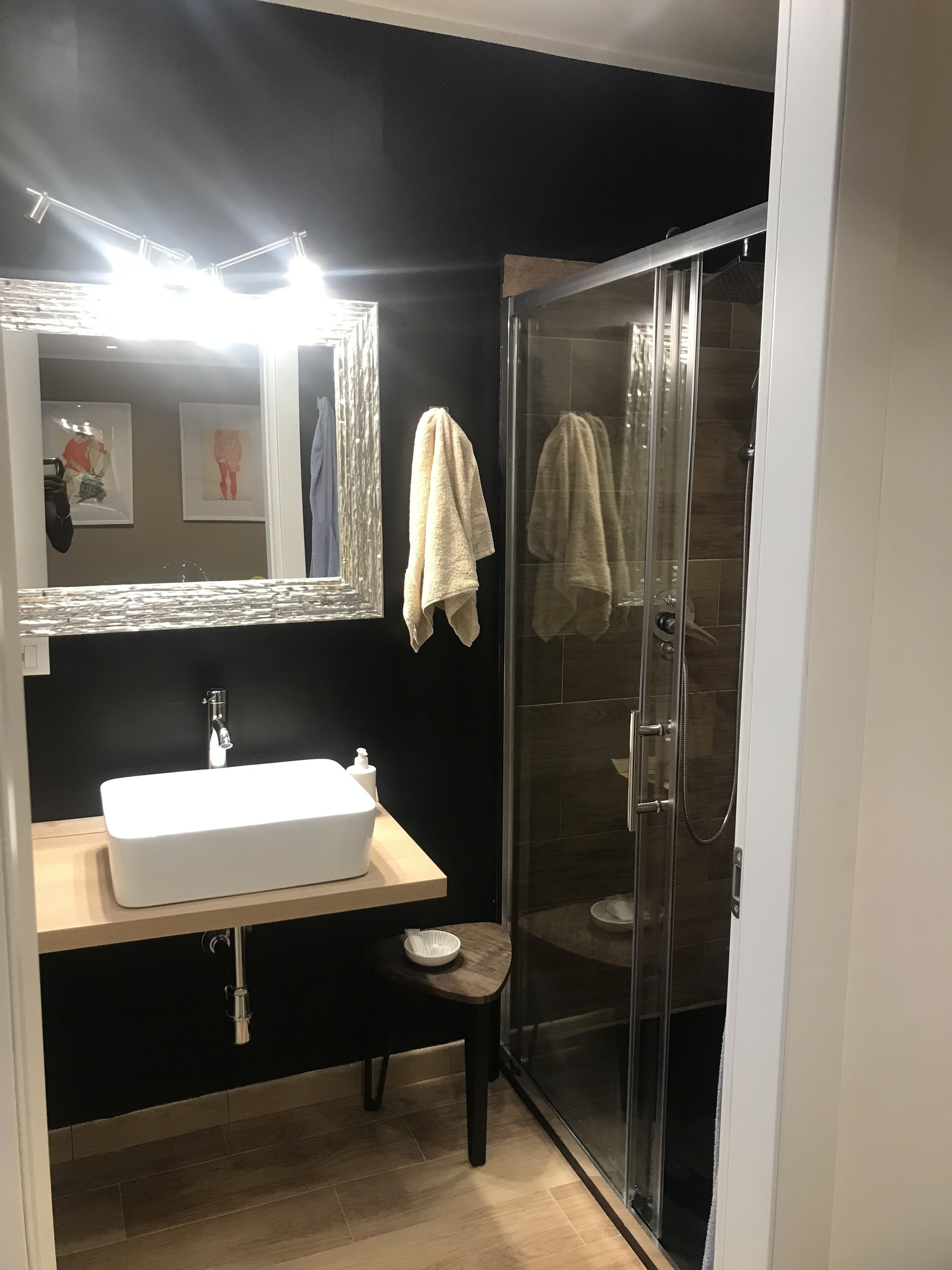 Shower, hair dryer, bidet, towels