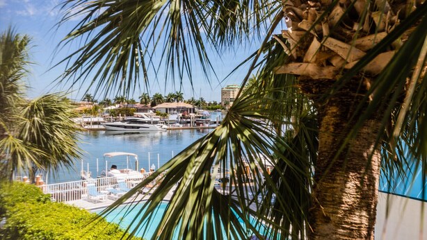 Una marina con barche ormeggiate, una piscina e palme.