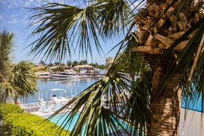 A marina with boats docked, a swimming pool, and palm trees. - Beautiful Marco Island Condo Located on Factory Bay! (Marco Island)