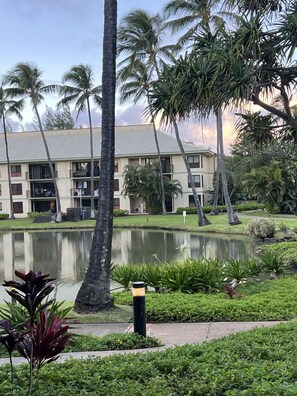 Jardines del alojamiento