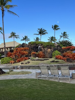 Jardines del alojamiento