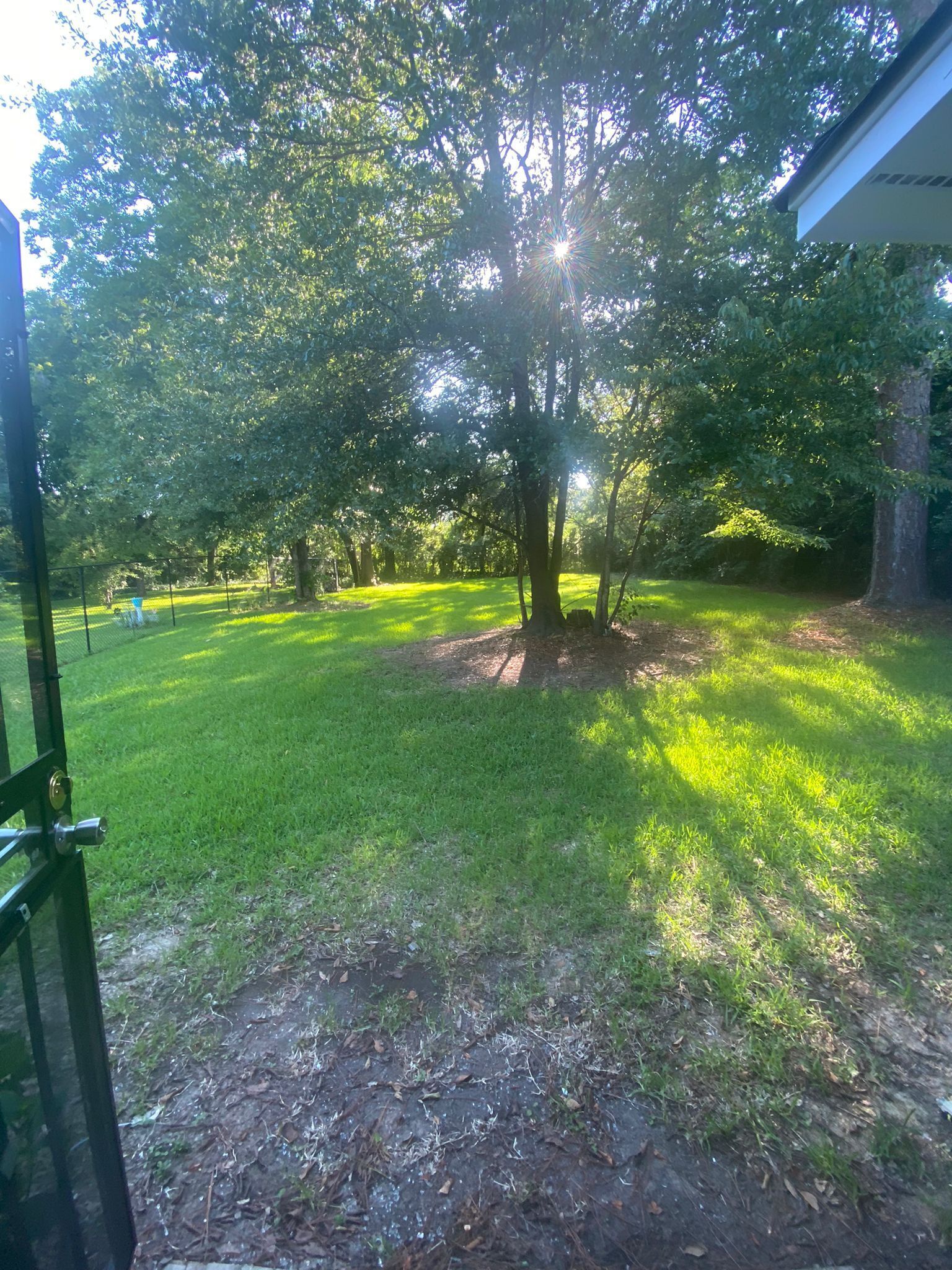 A park with a large tree, grassy areas, and a fence.