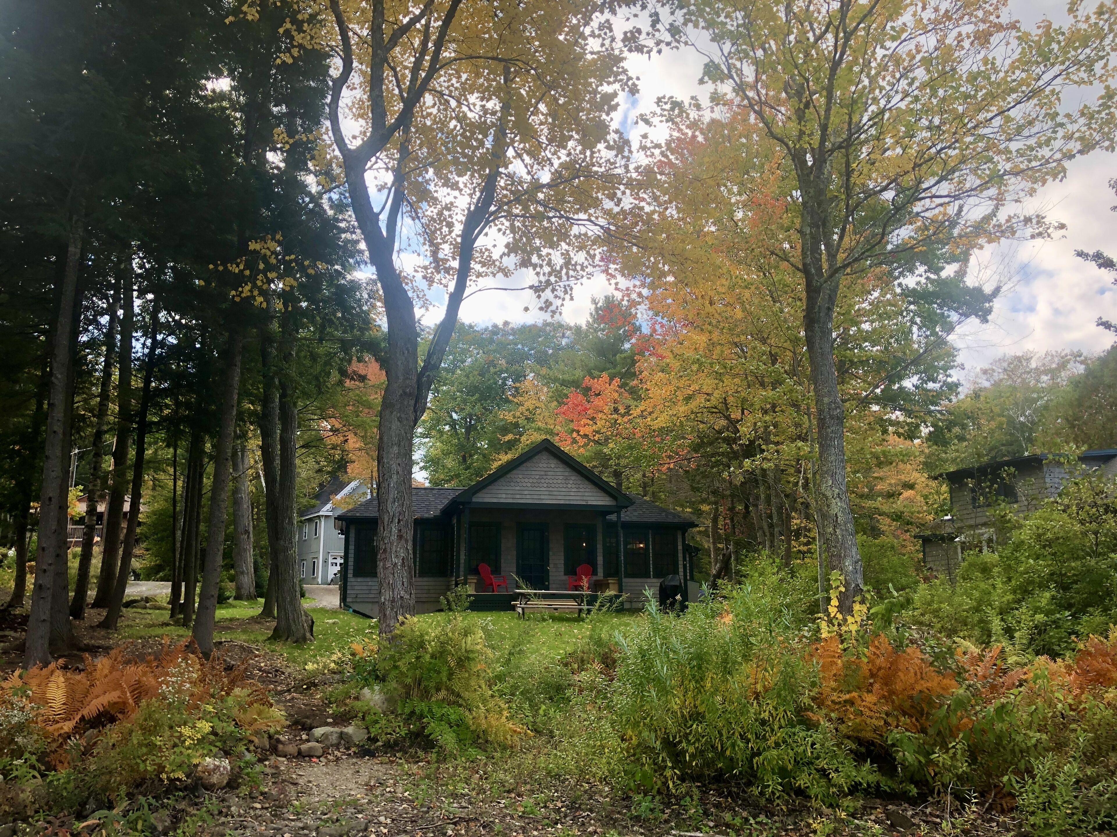 A cabin surrounded by tall trees with autumn foliage, a porch with a bench, and a small garden area.