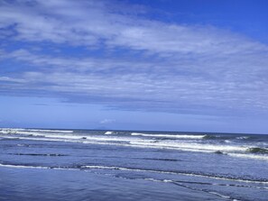 Beach nearby - GreatHoliday Home Literally walk in with food and walk out . Everything supplied (Foxton Beach)