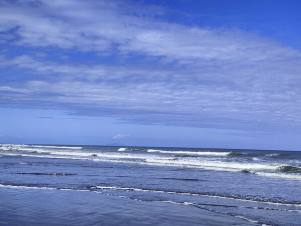 Beach nearby - GreatHoliday Home Literally walk in with food and walk out . Everything supplied (Foxton Beach)