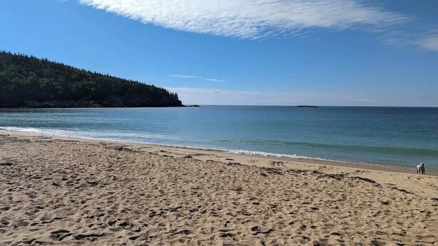 Una playa arenosa con una colina boscosa al fondo.