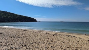 A sandy beach with a forested hill in the background.