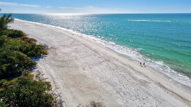 A beach with clear blue water, a sandy shore, and some greenery. - Newly remodeled beach house by Lido Beach and private pool (Sarasota)