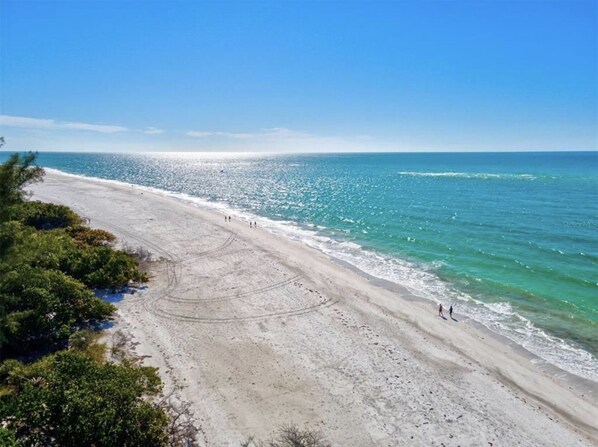Plage à proximité, chaises longues, serviettes de plage