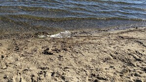 A sandy beach with clear water and a wooden dock extending into the lake. - Total Seclusion! Hot tub,  Traverse City downtown 10 min, Booking for summer!  (Traverse City)