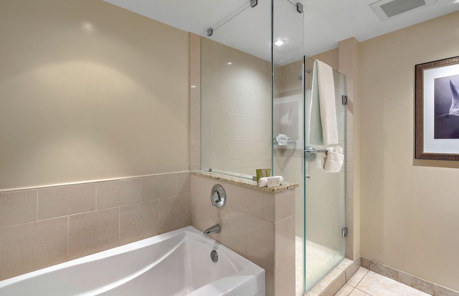 Bathtub, hair dryer, towels