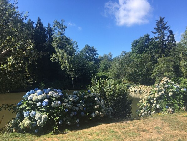 Terrain de lâhĂ©bergement