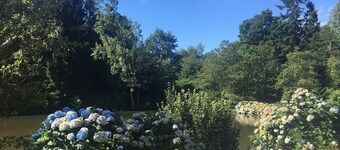 Unique & serene 1-Bed Cabin close to Domfront