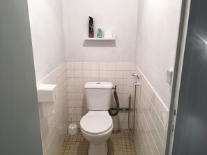Bathroom features a toilet, handheld showerhead, and toiletries on a shelf.