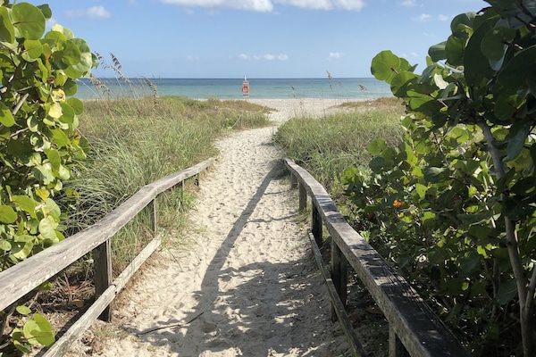 Ubicación cercana a la playa, tumbonas y toallas de playa