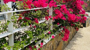 A white building with a balcony, a stone wall, and pink bougainvillea flowers. - Sea view apartment, 5 min drive from Kata Beach (Karon)