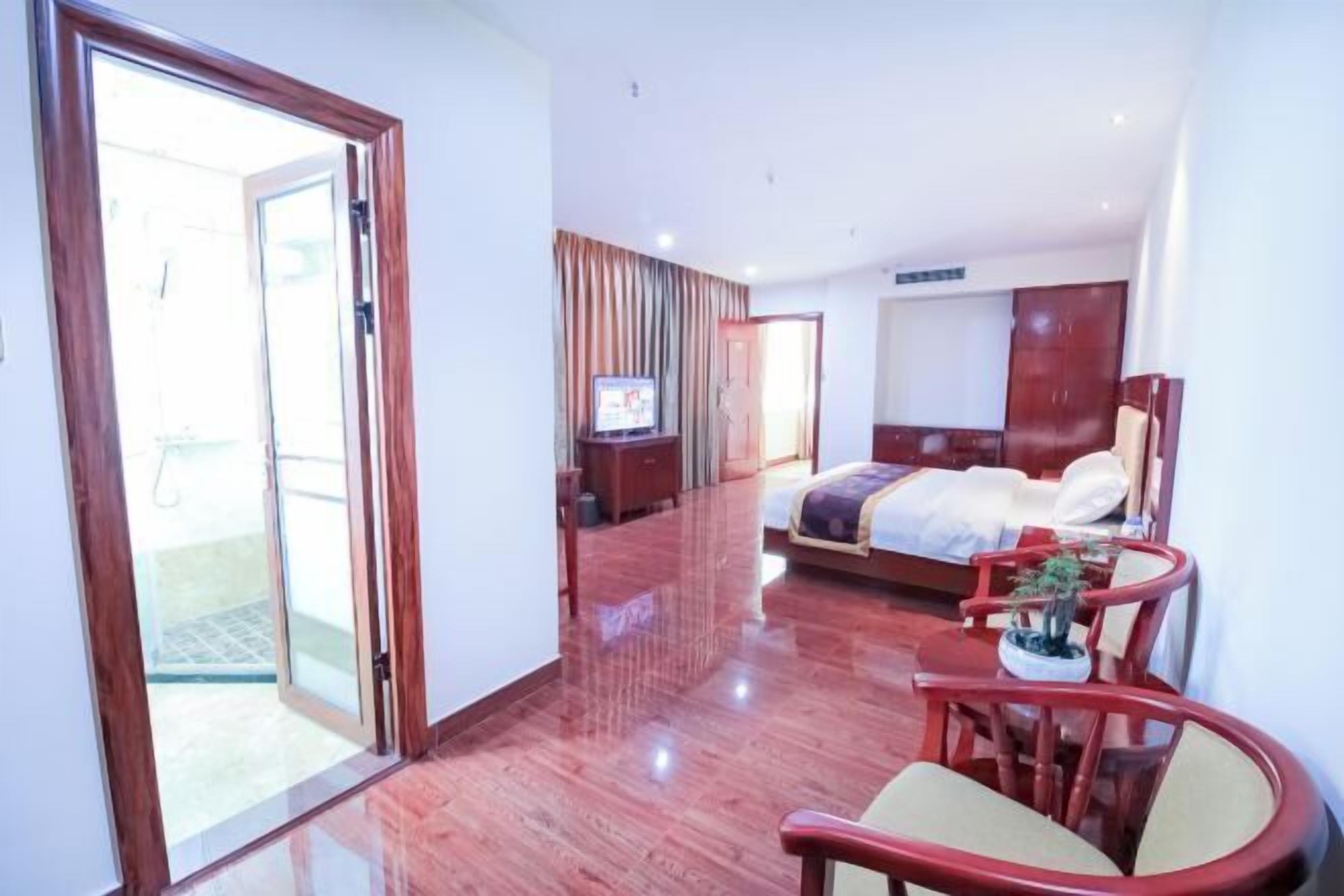 Habitación de hotel con cama, televisión, silla y una pequeña mesa con una planta.
