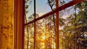 Una ventana con vistas a un área boscosa y un campo cubierto de hierba.
