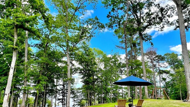 Un espacio verde con dos sillas de madera y una sombrilla azul, rodeado de árboles altos y un cielo despejado.