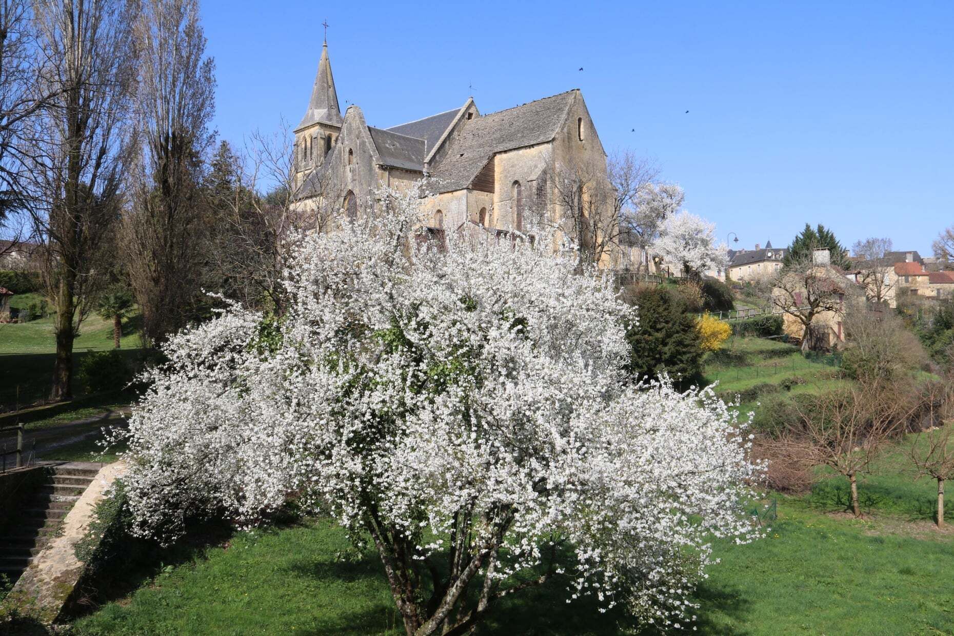 Una iglesia con un campanario destacado, rodeada de árboles en flor y un espacio cubierto de césped.