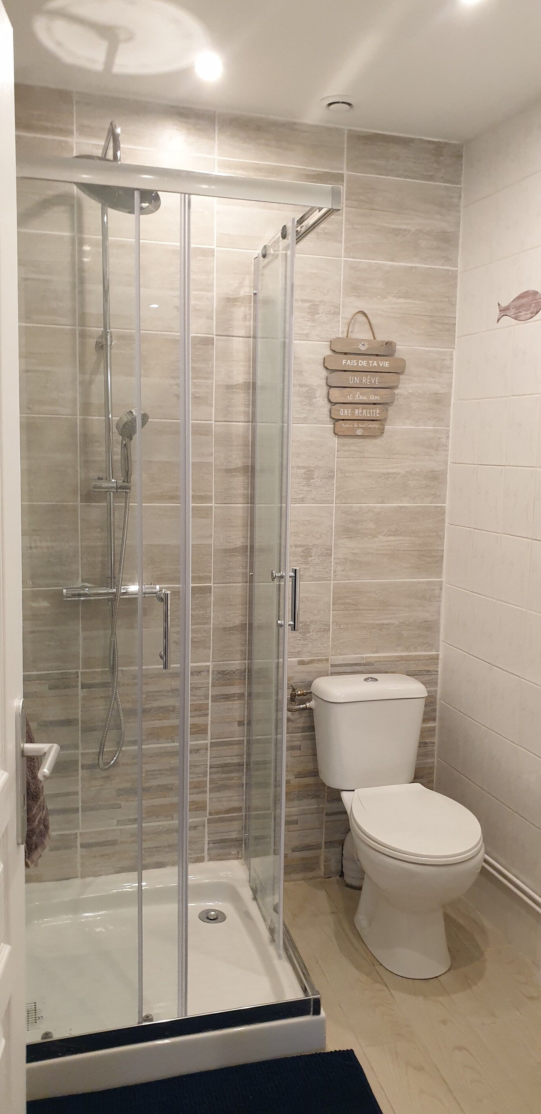 Shower, hair dryer, toilet paper