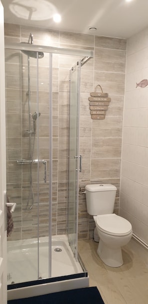 Douche, séchoir à cheveux, papier de toilette