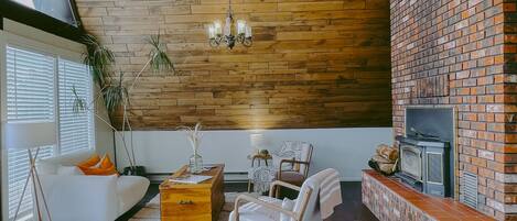 Smart TV, fireplace, books