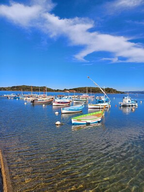 Jachthaven