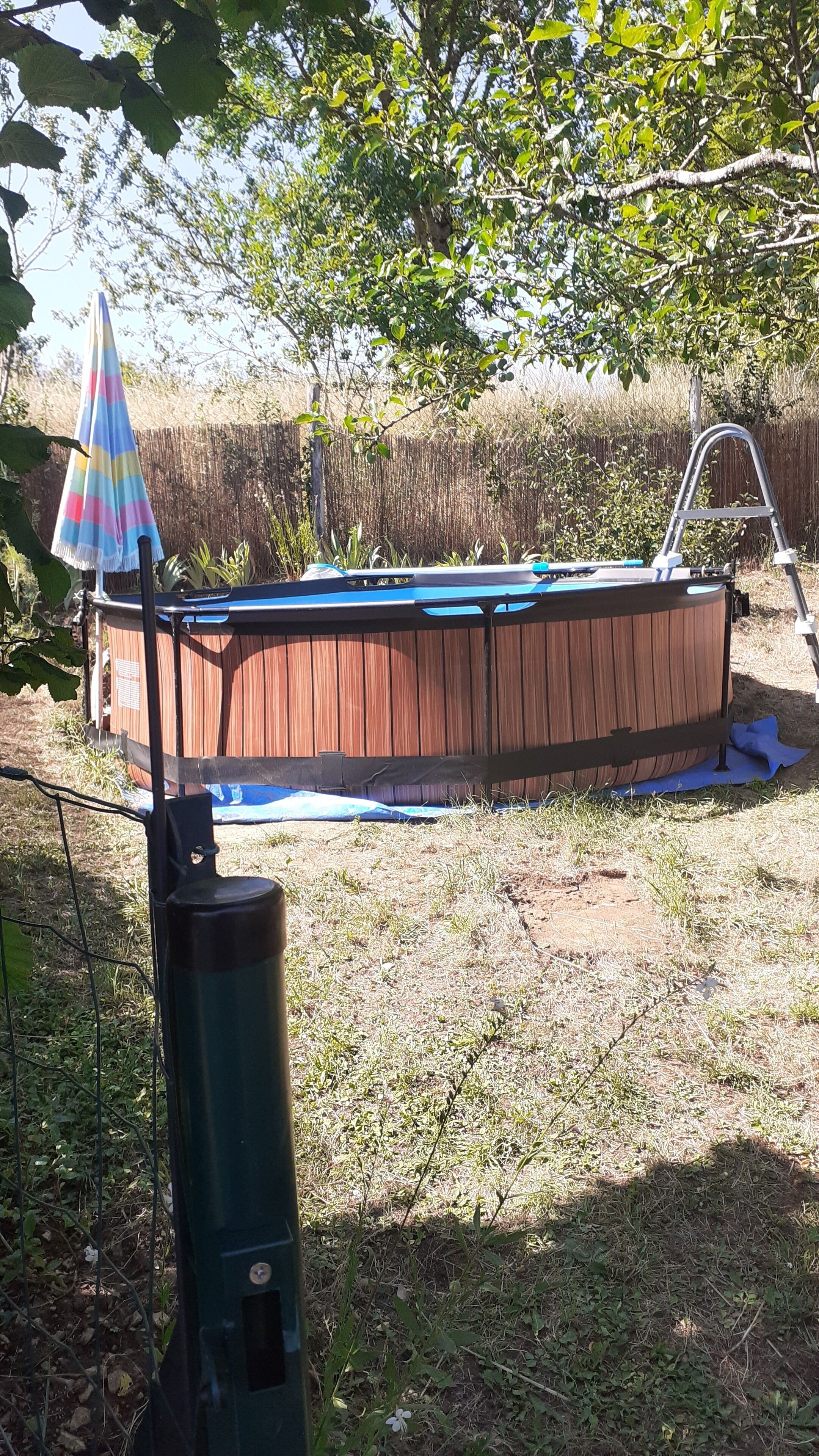 Un bain à remous en bois, doté d’une couverture bleue, entouré d’une pelouse et délimité par une clôture en bois.