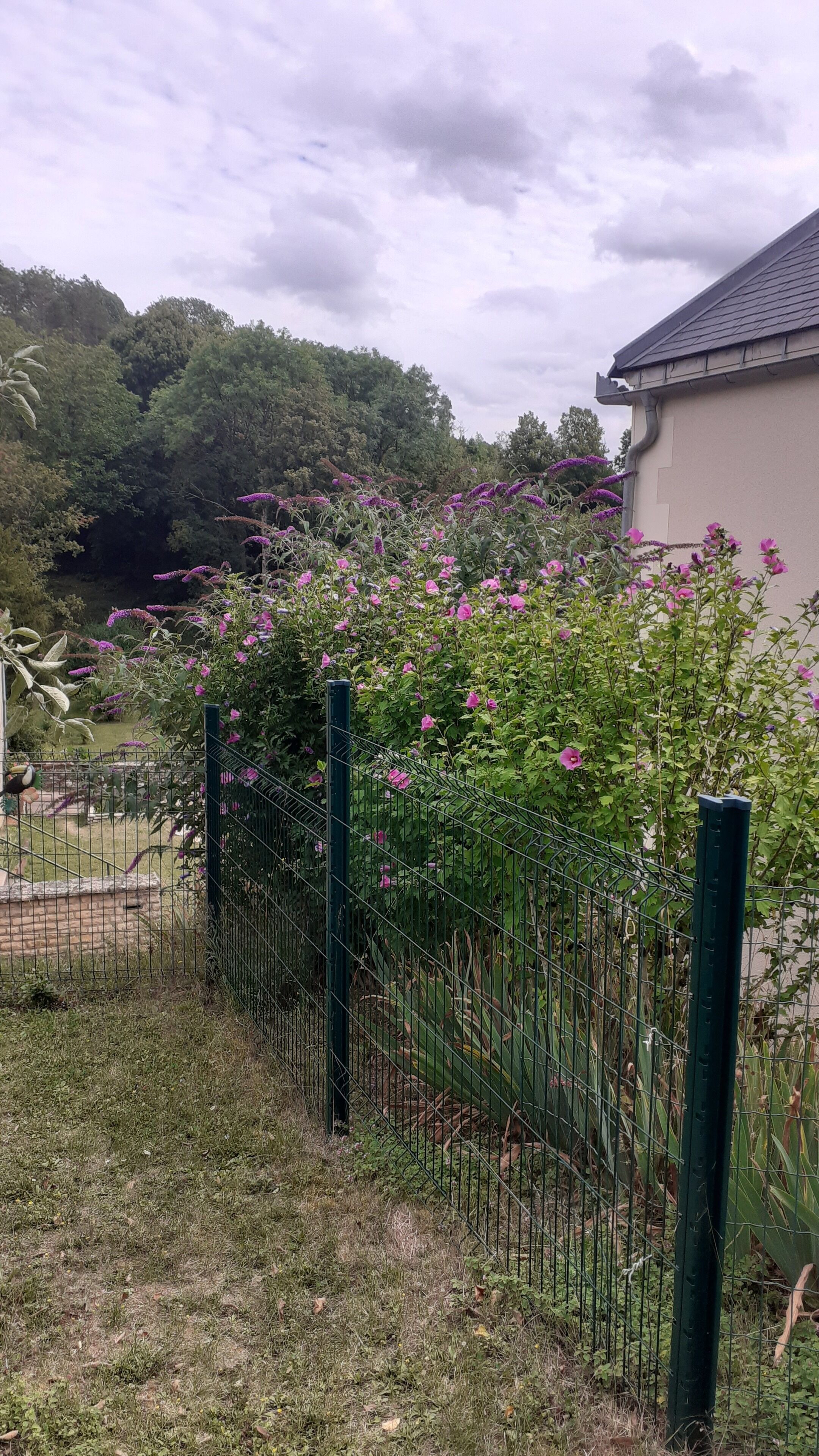 Un jardín con una cerca metálica, un edificio al fondo y árboles.