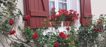 30 minutes from Guedelon and 2 hours from Paris