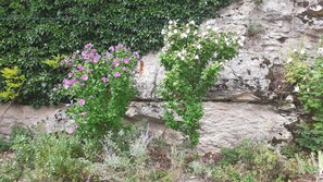 Exterior detail - 30 minutes from Guedelon and 2 hours from Paris (Druyes les belles Fontaines)