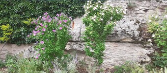 30 minutes from Guedelon and 2 hours from Paris