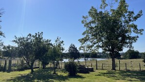 A grassy field with trees and a fence.