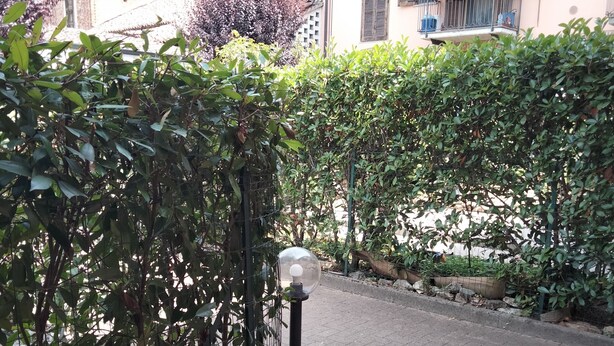 Un sendero pavimentado con un farol de metal y un seto.