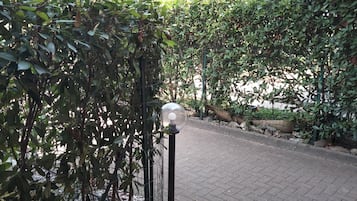 المنطقة المحيطة بالمنشأة