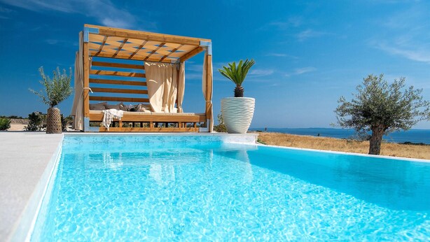 Una piscina con un pérgola de madera y una planta grande en maceta.